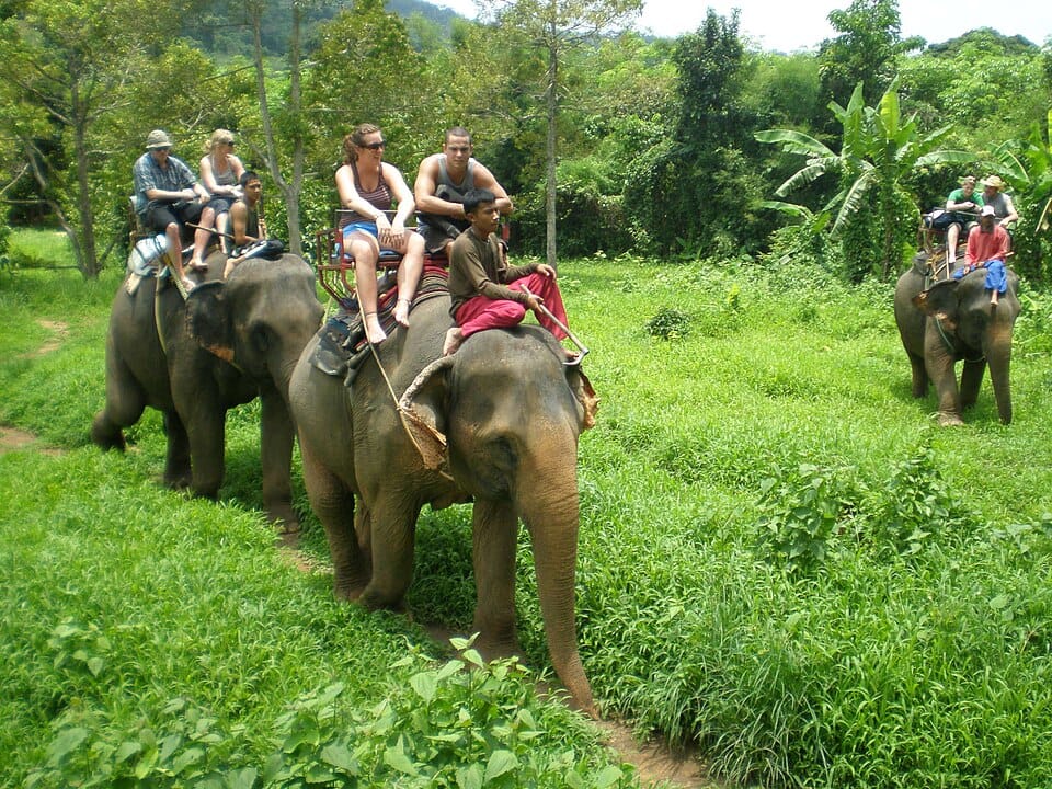 National Marine Park, offers a taste of the diverse beauty and experiences that this corner of Thailand has to offer. Whether you're seeking adventure, relaxation, or cultural immersion, these islands provide the perfect backdrop for an unforgettable tropical getaway.